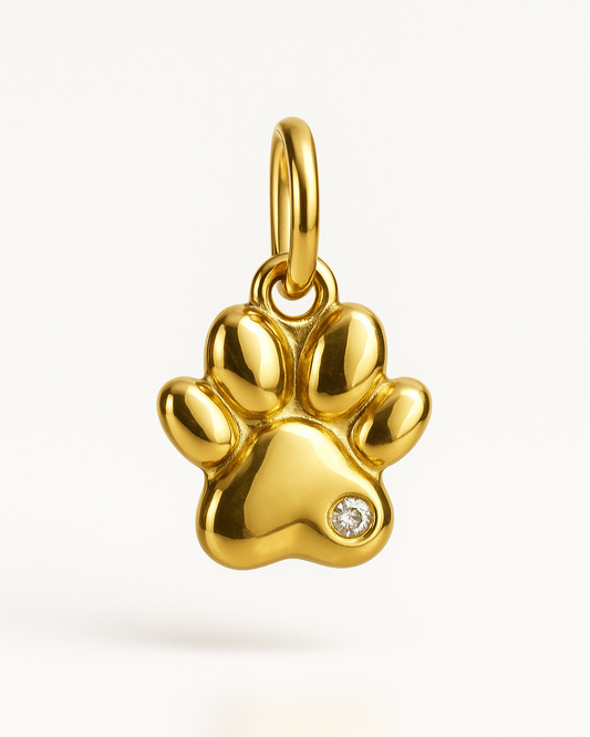 Charm Pfote mit Steinchen