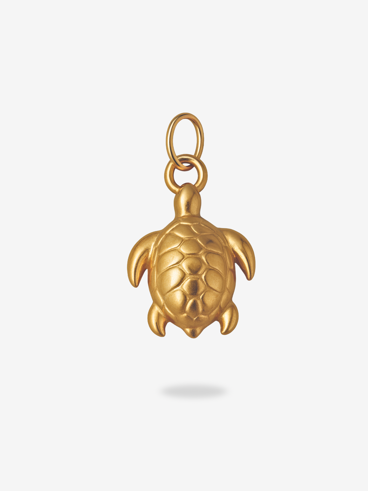 Charm Turtle