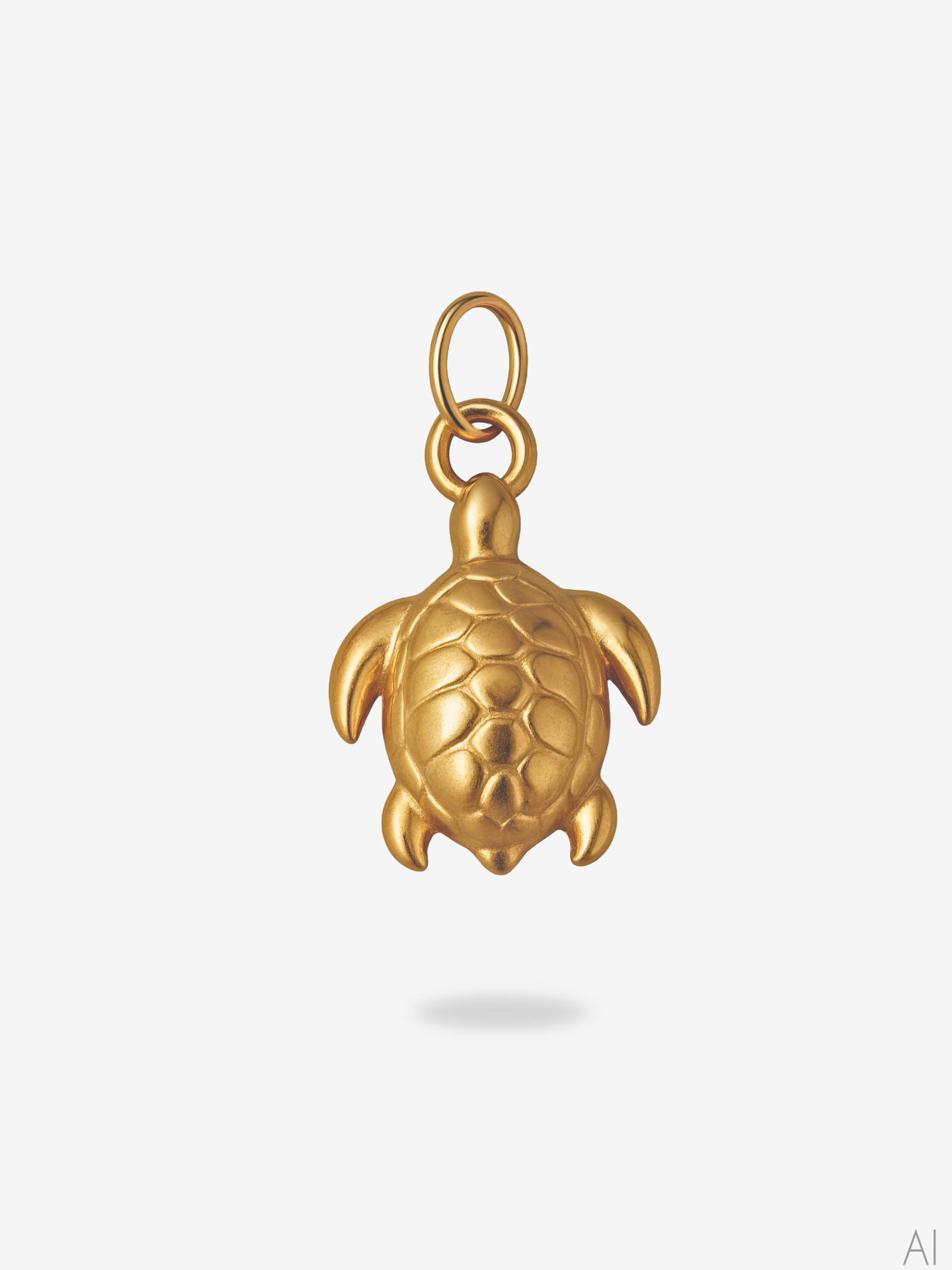 Charm Turtle