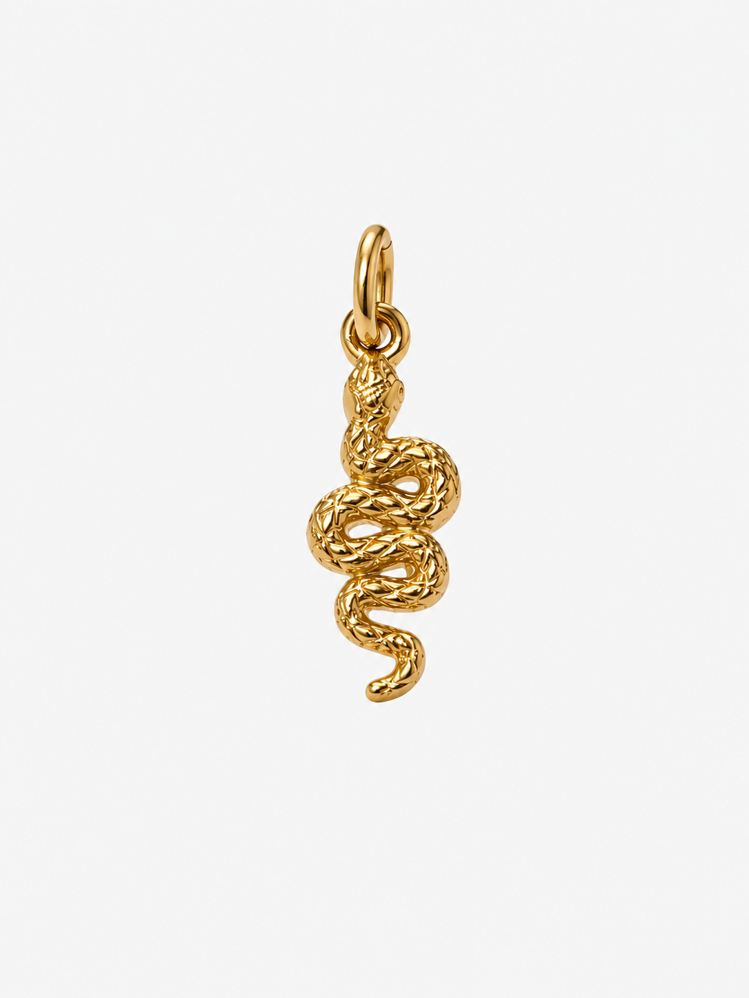 Charm Snake