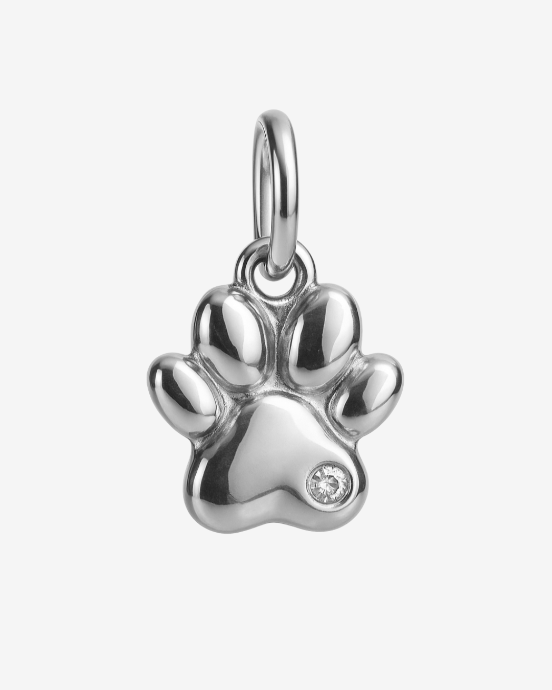 Charm Pfote