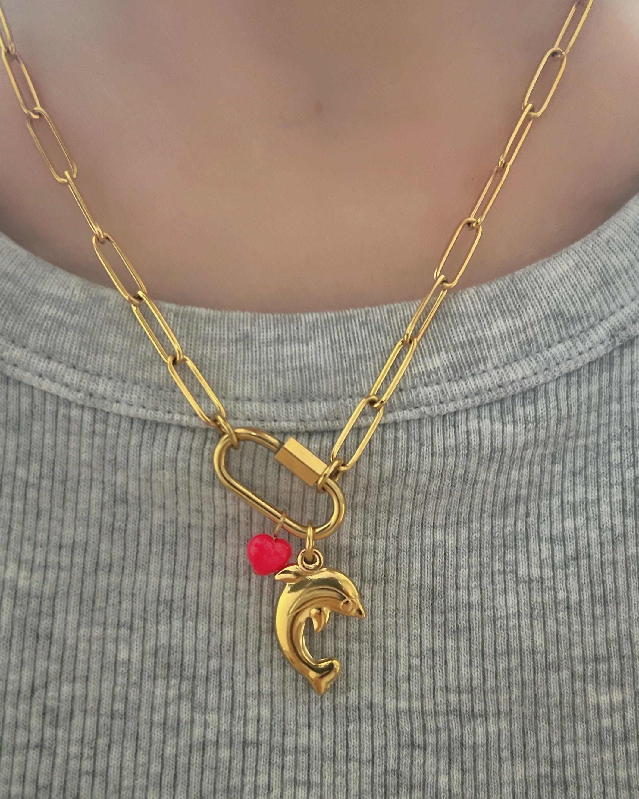 Charm Dolphin