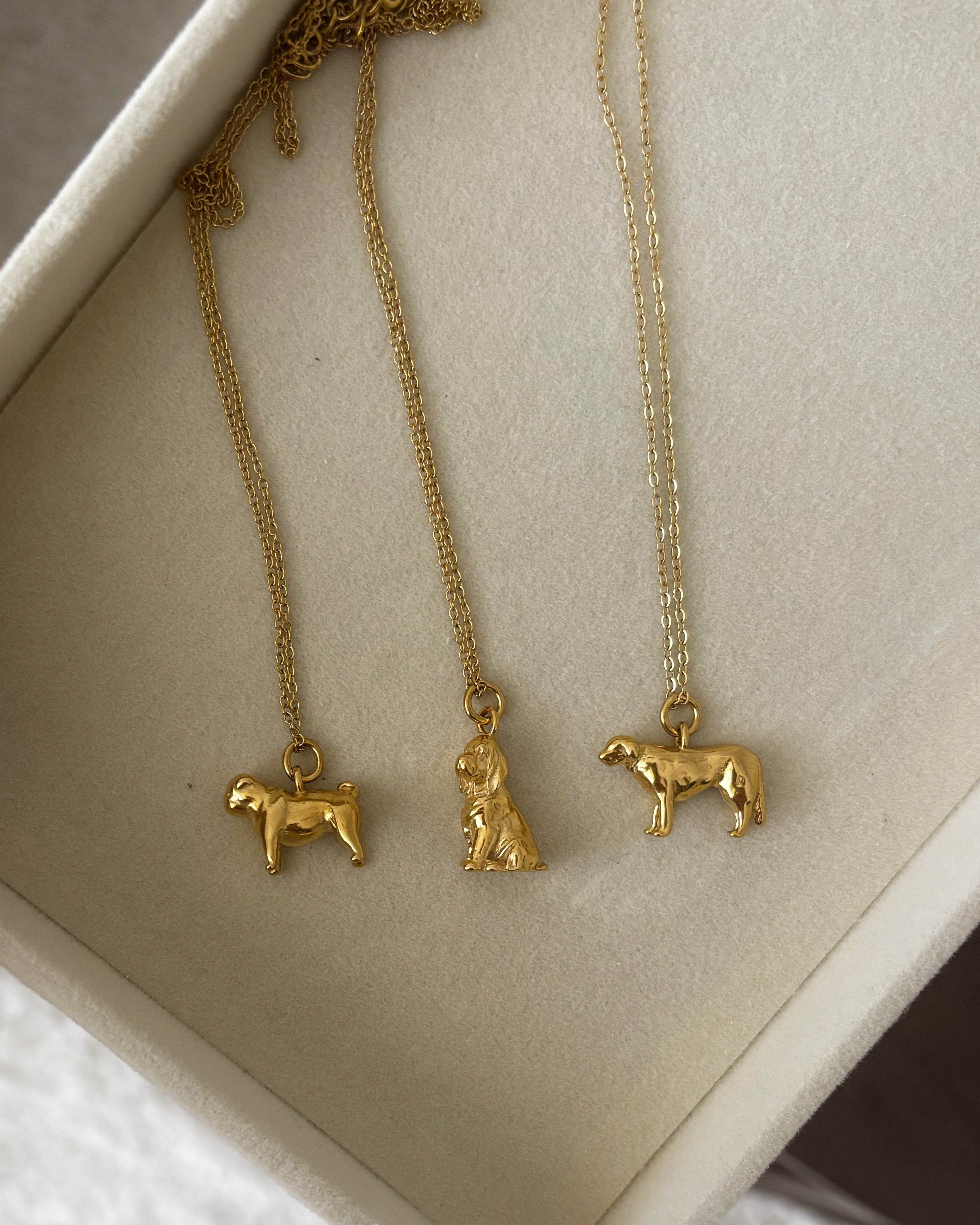 Kette Cocker Spaniel