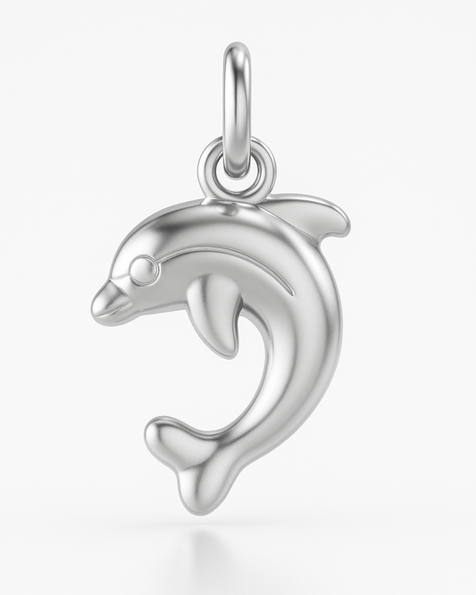 Charm Dolphin