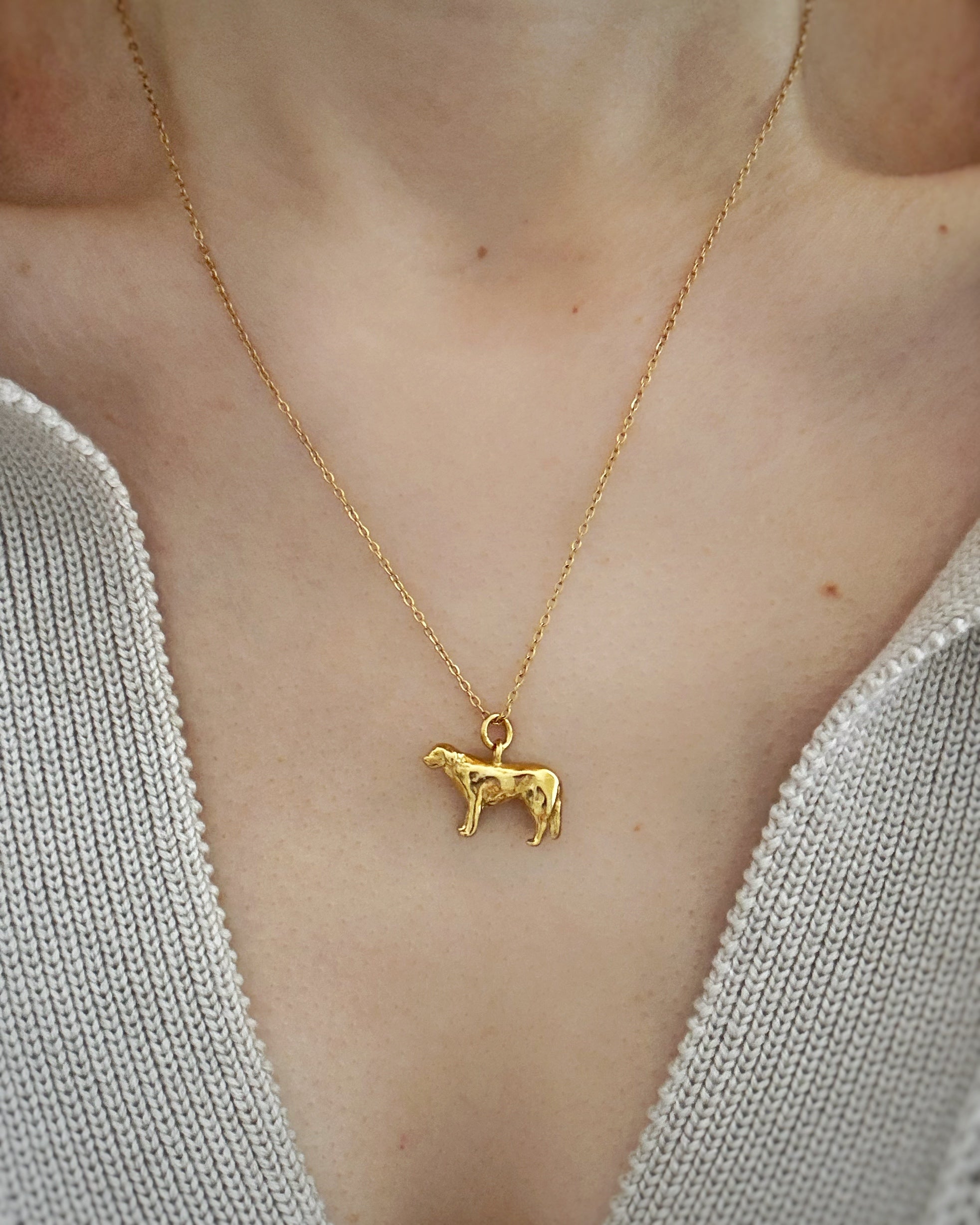 Kette Golden Retriever