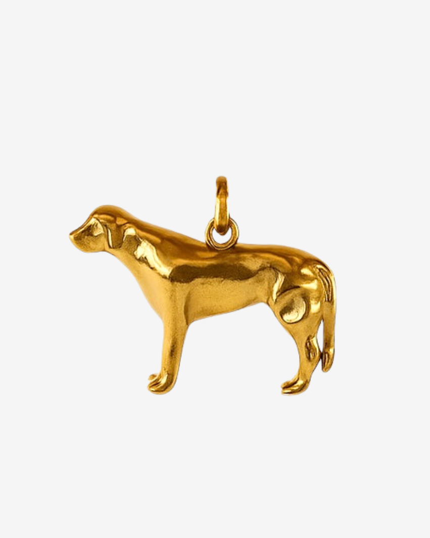 Charm Golden Retriever