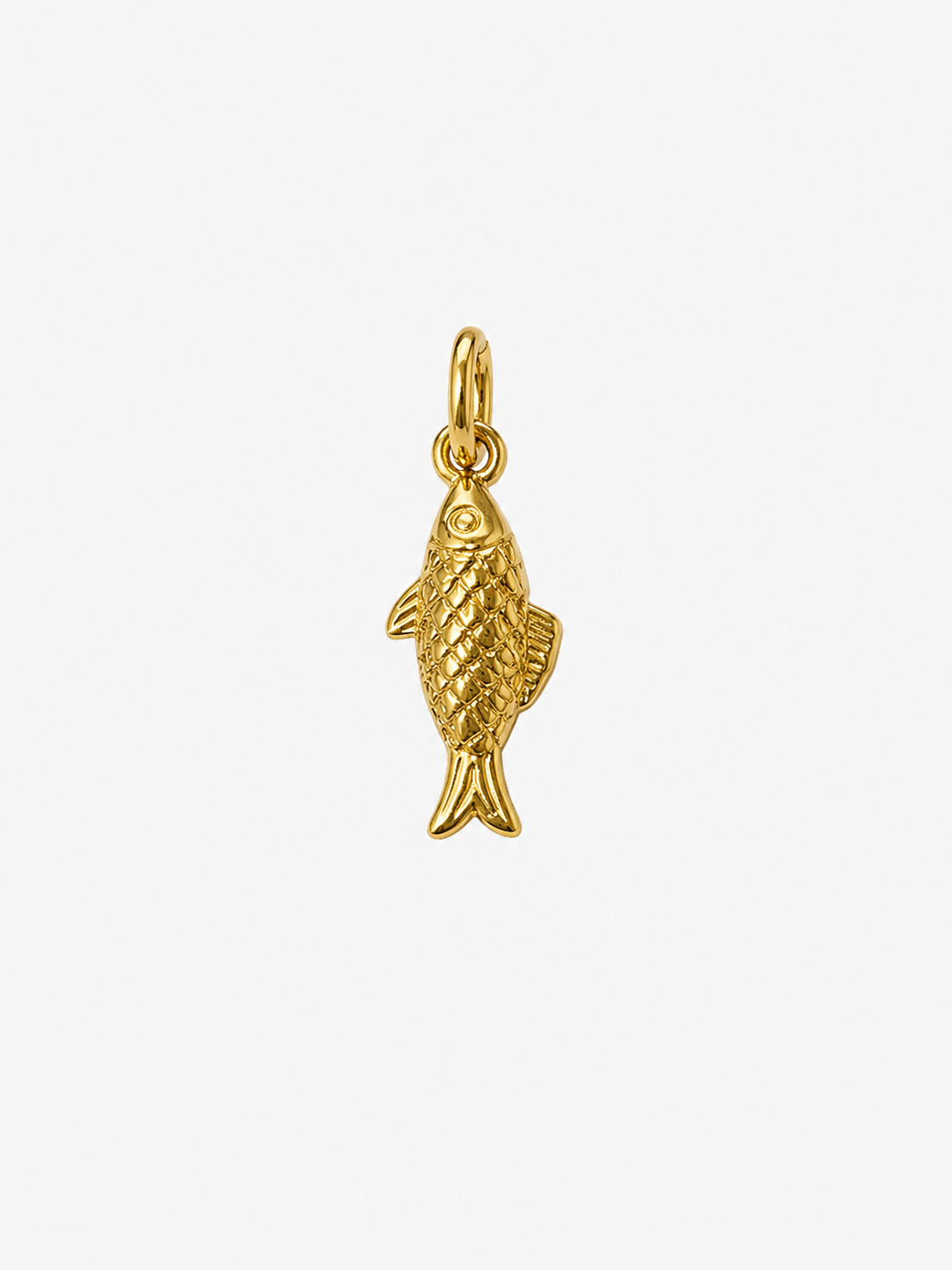 Charm Fish