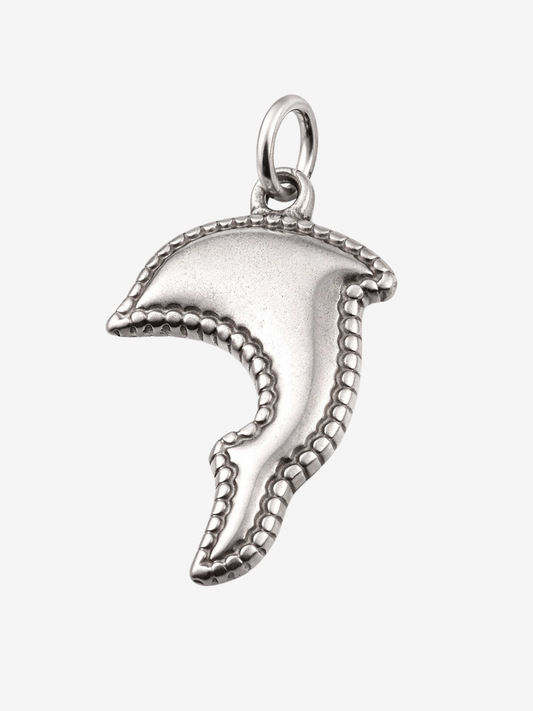 Charm Dolphin