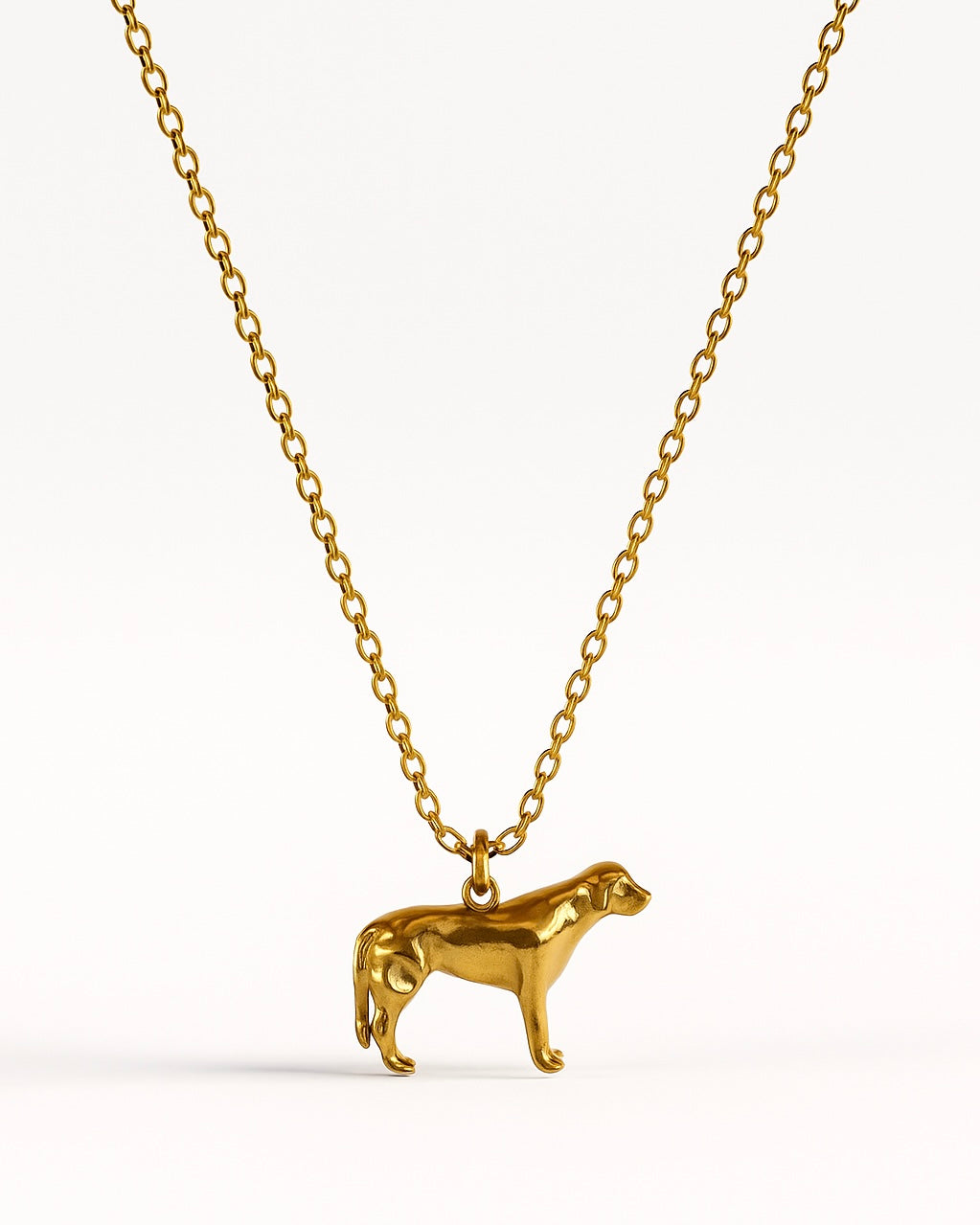 Kette Golden Retriever