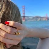 Ring San Francisco-Ringe-Beach to the City